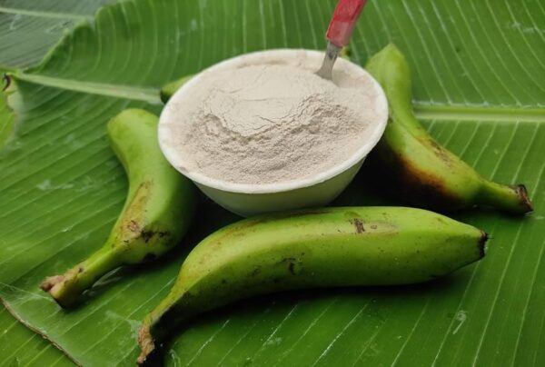 Green banana powder raw yellow